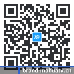 Android 饭圈版 二维码